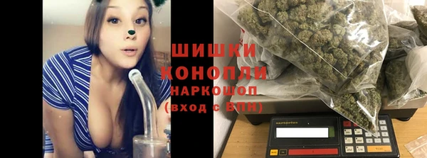 прущая мука Арсеньев