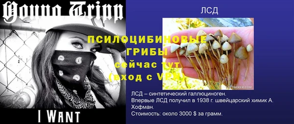 спайс Аркадак