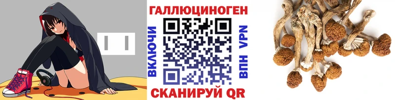Галлюциногенные грибы прущие грибы  наркошоп  Новопавловск 